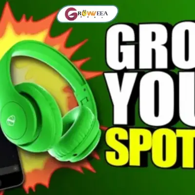 SpotifyStorm Review: Best Spotify Growth Service?