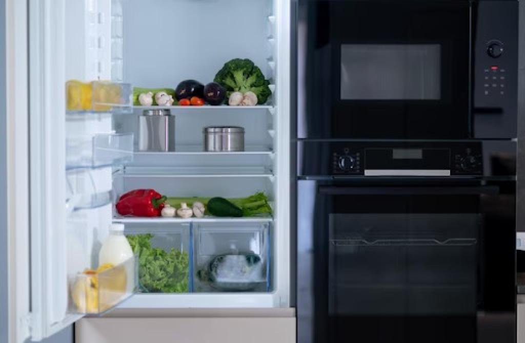 The Essential Guide to Refrigerators: Exploring Your Options